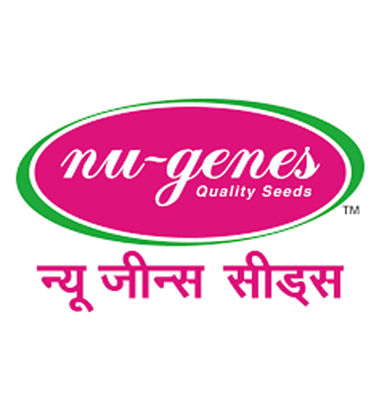 Banner image not found